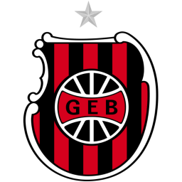 Brasil de Pelotas Team Logo