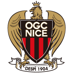 NICE Team Logo
