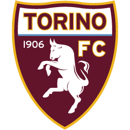 TORINO Team Logo