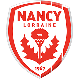 NANCY Team Logo