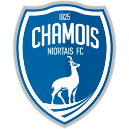 NIORT Team Logo