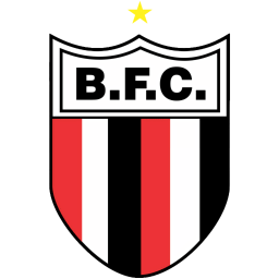 BOTAFOGO SP Team Logo